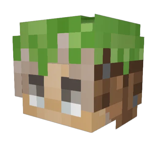 NlCKl Minecraft avatar head, 3D render