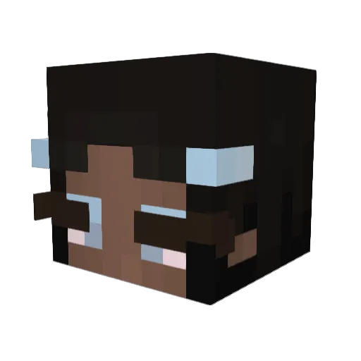 NlCOLES Minecraft avatar head, 3D render
