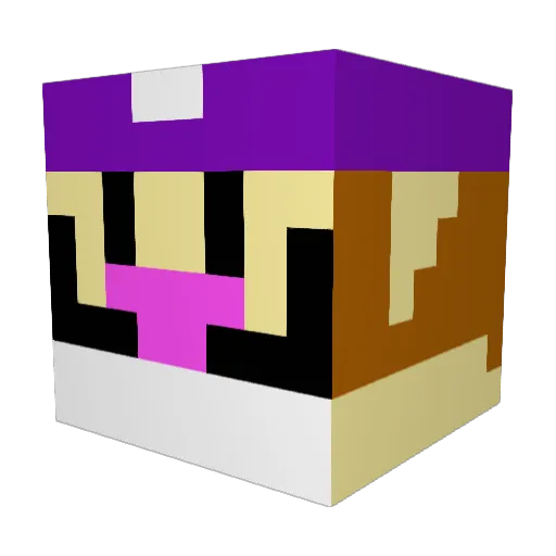 NlT0S02 Minecraft avatar head, 3D render
