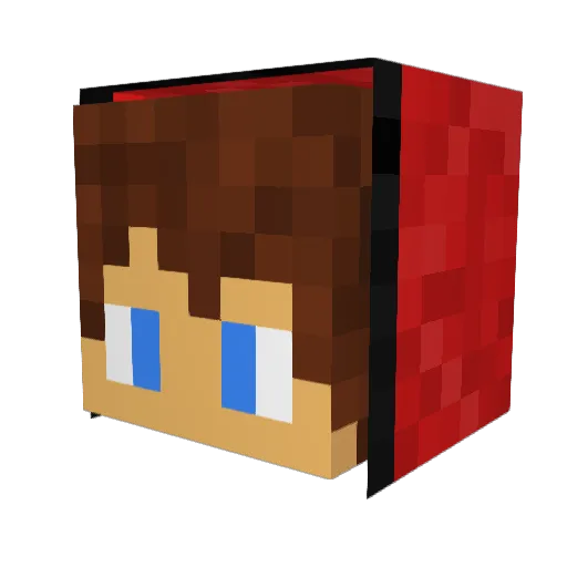 Nlassek Minecraft avatar head, 3D render