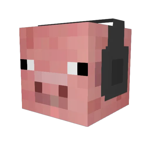 Nlexcite Minecraft avatar head, 3D render