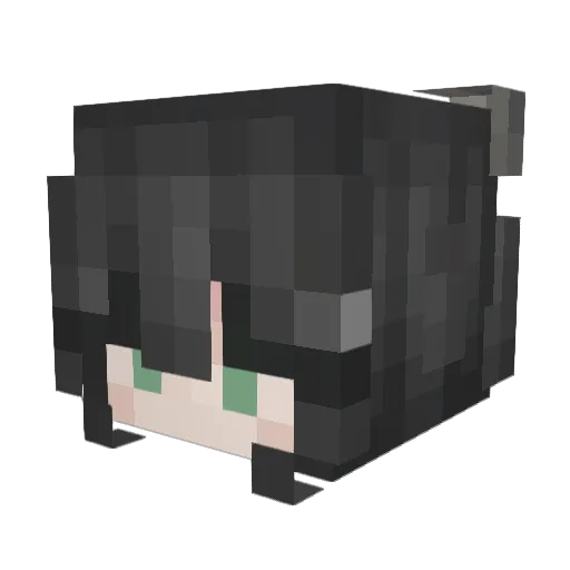 Nllq Minecraft avatar head, 3D render