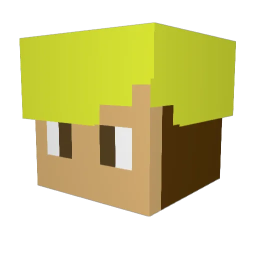 Nlopez2010 Minecraft avatar head, 3D render