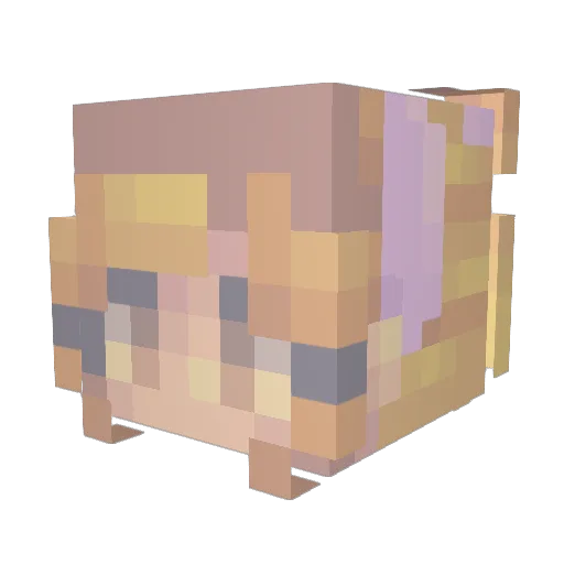 Nm1537 Minecraft avatar head, 3D render