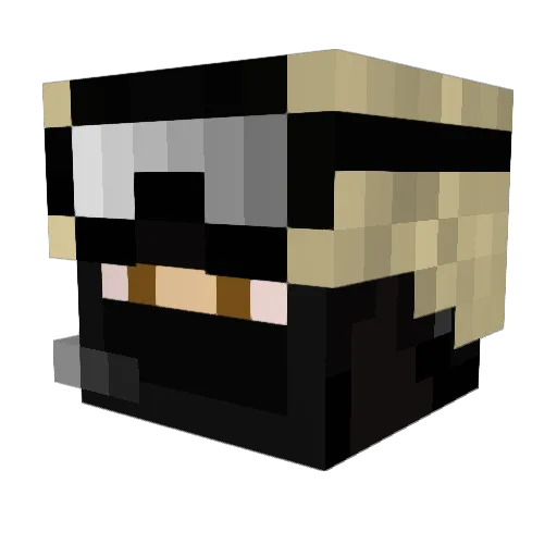 Nman143 Minecraft avatar head, 3D render