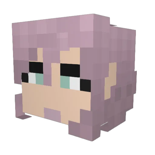 Nman2488 Minecraft avatar head, 3D render