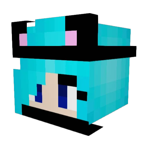Nmary19 Minecraft avatar head, 3D render
