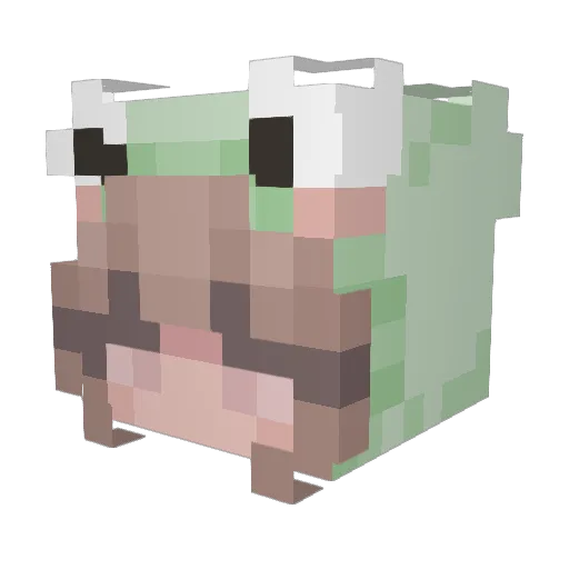 Nmazing Minecraft avatar head, 3D render