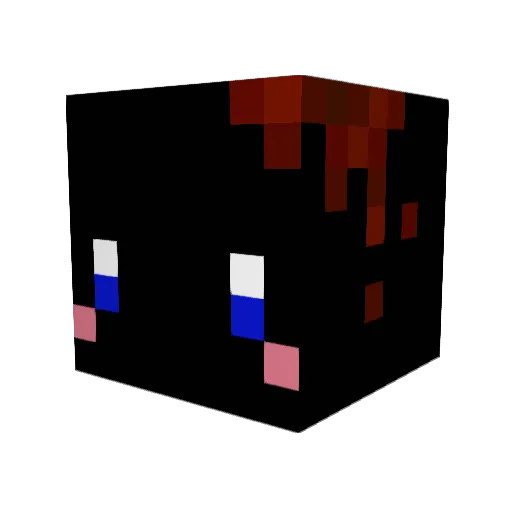 Nmkmn88 Minecraft avatar head, 3D render