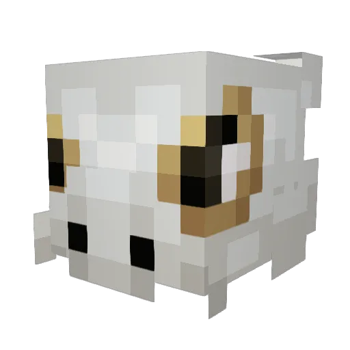 Nnaoyy Minecraft avatar head, 3D render