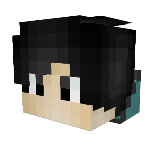Nndyhzz Minecraft avatar head, 3D render
