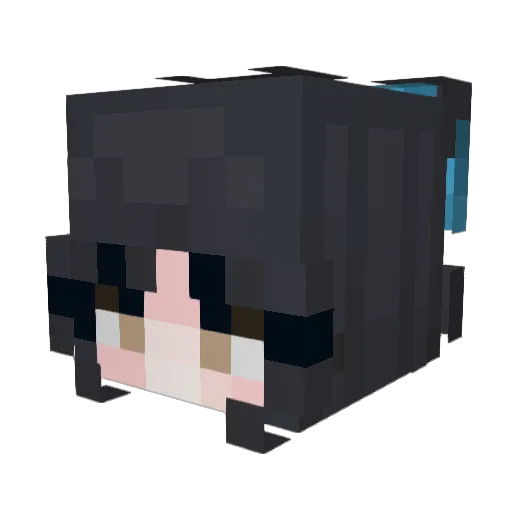 Nnickjung Minecraft avatar head, 3D render