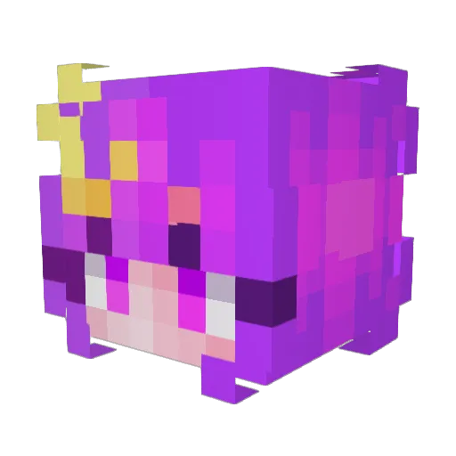 Nnonoo Minecraft avatar head, 3D render