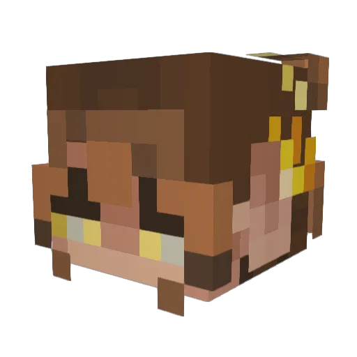 Nnorn Minecraft avatar head, 3D render