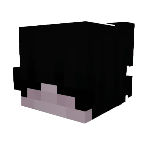 NnotT21 Minecraft avatar head, 3D render