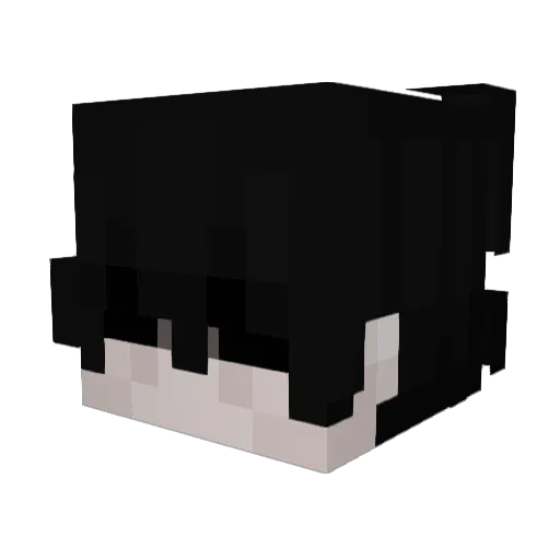 NnovaL Minecraft avatar head, 3D render