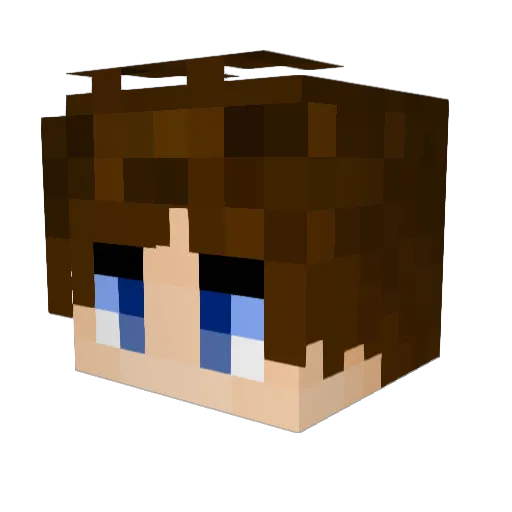 No0bIy Minecraft avatar head, 3D render
