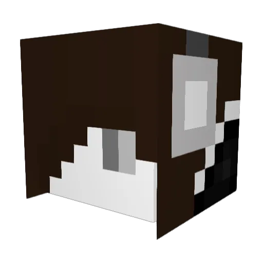 No1General Minecraft avatar head, 3D render