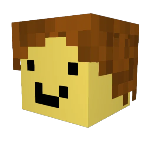 No1TerrariaFan Minecraft avatar head, 3D render