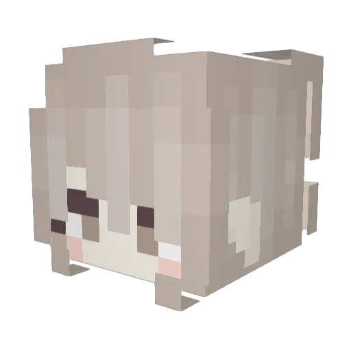 No1_one Minecraft avatar head, 3D render