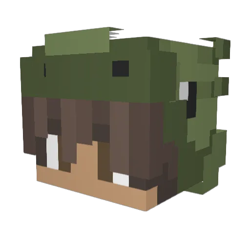No1askedB Minecraft avatar head, 3D render