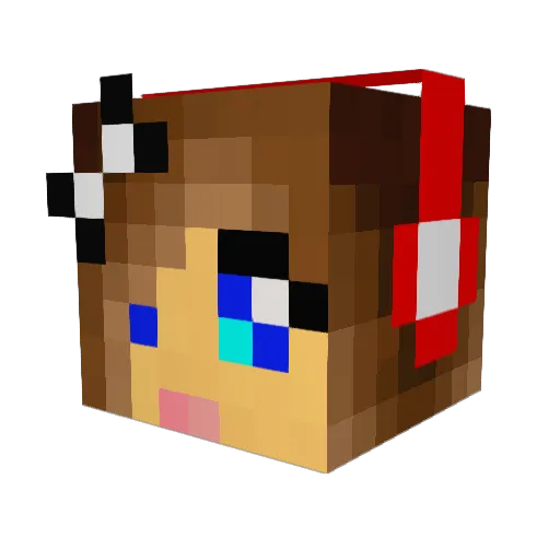 No1star22 Minecraft avatar head, 3D render