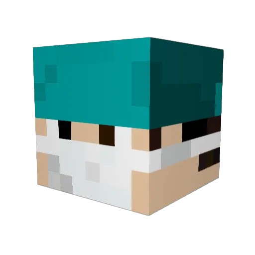 No1twin Minecraft avatar head, 3D render