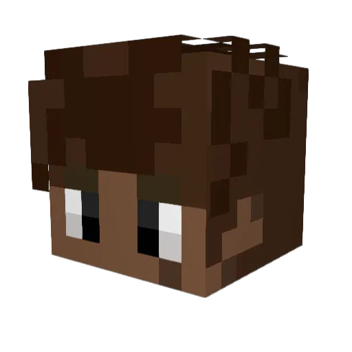 NoAnimeNoLife15 Minecraft avatar head, 3D render