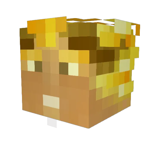 NoBa23 Minecraft avatar head, 3D render