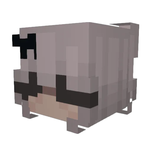 NoBady600 Minecraft avatar head, 3D render