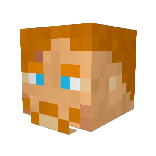 NoBrowSensei Minecraft avatar head, 3D render