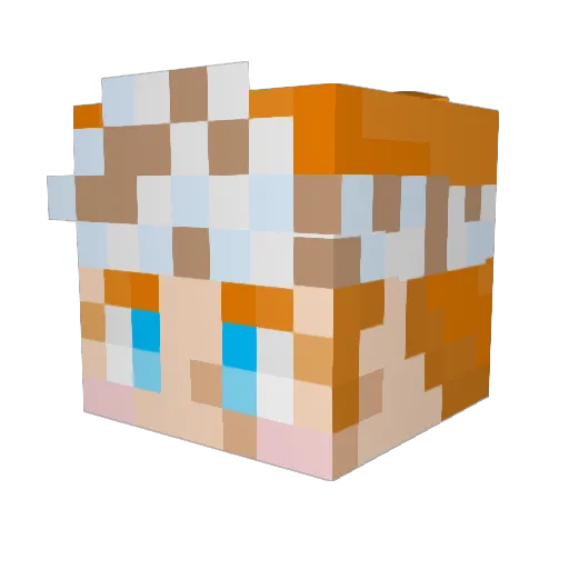 NoBuddy_x0x Minecraft avatar head, 3D render