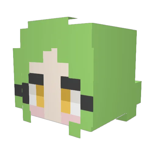 NoCatOfzo Minecraft avatar head, 3D render