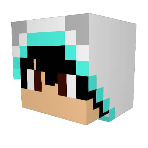 NoCheaterThealoz Minecraft avatar head, 3D render
