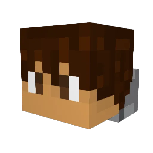 NoComplaints Minecraft avatar head, 3D render