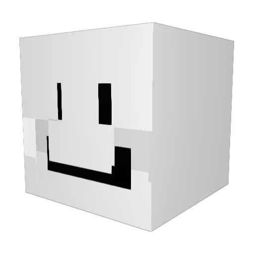 NoCookieforyou Minecraft avatar head, 3D render