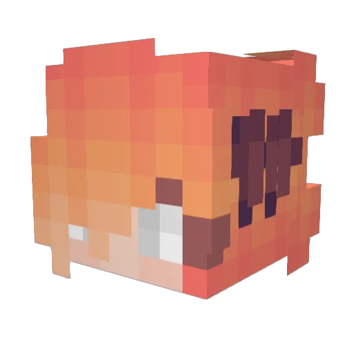 NoDanna Minecraft avatar head, 3D render