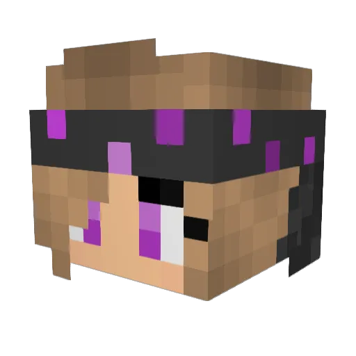 NoDuxGiven Minecraft avatar head, 3D render