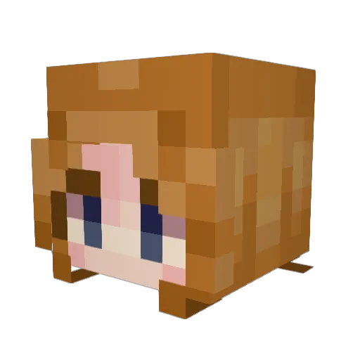 NoEmFo Minecraft avatar head, 3D render
