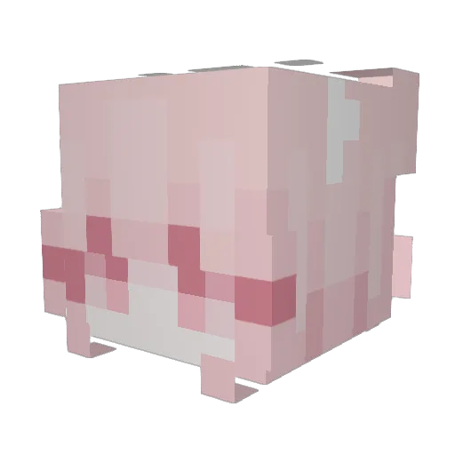 NoEnvies Minecraft avatar head, 3D render