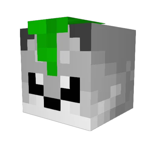 NoEyedSt Minecraft avatar head, 3D render