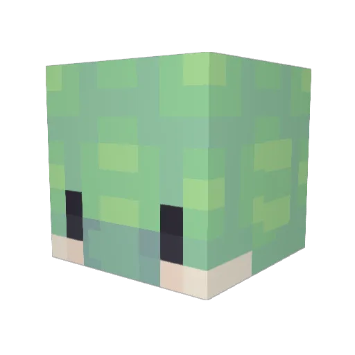NoFace8740 Minecraft avatar head, 3D render