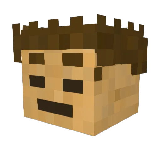 NoFight22 Minecraft avatar head, 3D render