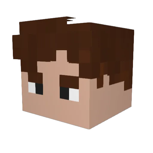 NoFreeToasters Minecraft avatar head, 3D render