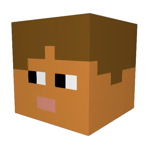 NoFreeWifi28 Minecraft avatar head, 3D render