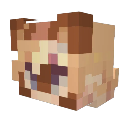 NoGenderGuest Minecraft avatar head, 3D render