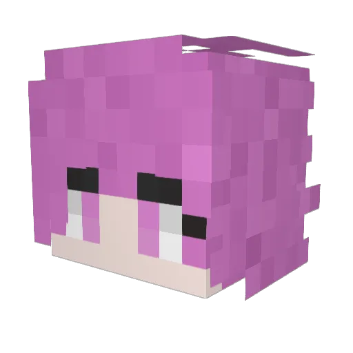 NoGodsNoManagers Minecraft avatar head, 3D render