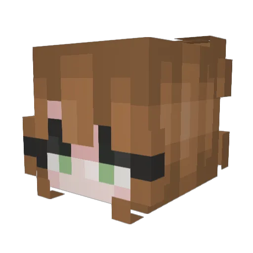 NoGoo Minecraft avatar head, 3D render