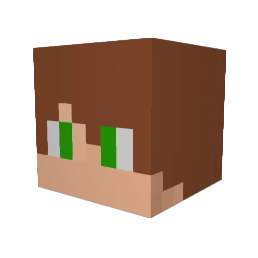 NoGuEiRaPT26 Minecraft avatar head, 3D render