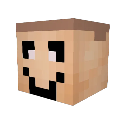 NoHacJustSkill Minecraft avatar head, 3D render